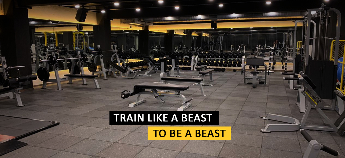 Burn Gym Best Gyms in Chandigarh Fitness Centre in Chandigarh